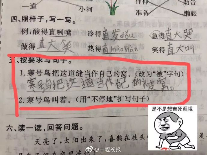 小学生作业又火了写作业全凭想象力哈哈哈哈