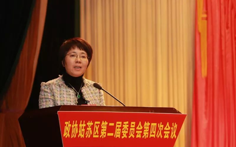 聚焦两会丨姑苏区政协委员最关心这些问题!_古城