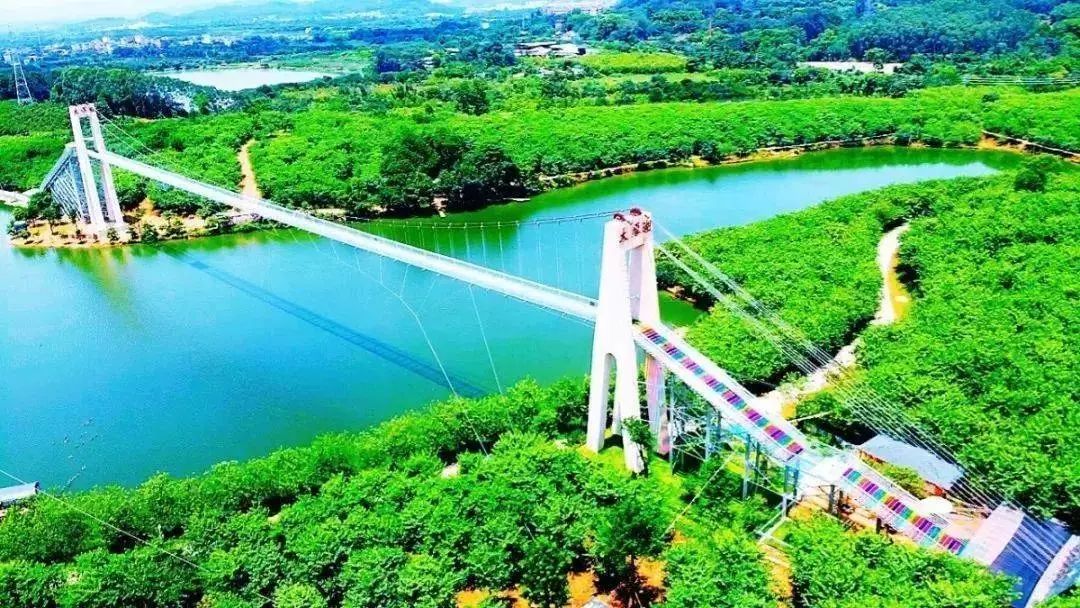 67广州春节爆品广州城郊边上藏梦幻农场99元抢购花都志惠农场玻璃桥