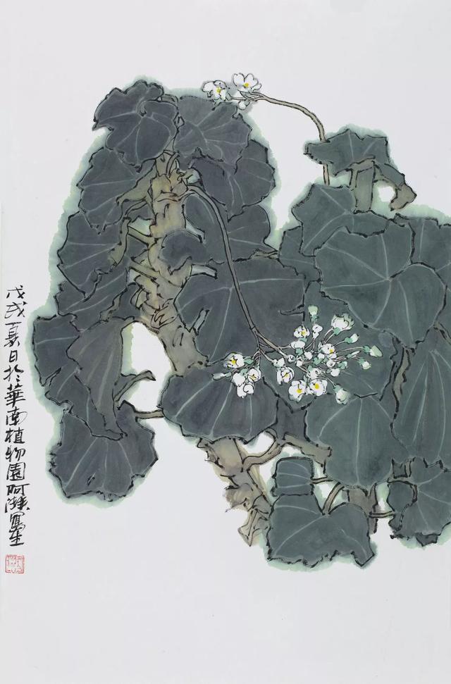 广州画院副院长,郑阿湃中国画写生作品欣赏