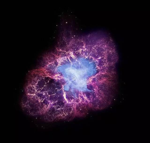 宇宙粒子加速器:一个油炸圈饼外型的磁场环绕在蟹状星云心脏位置的