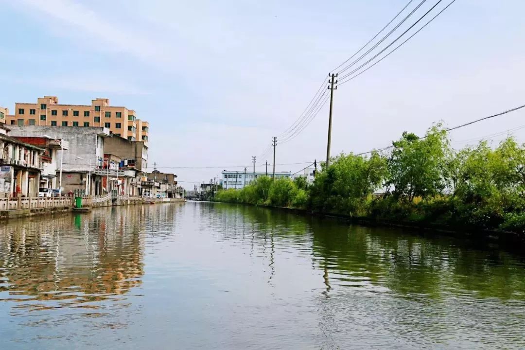 白沙河如今已成为龙港市的重要一脉,随同龙港人一起进入了崭新的时代