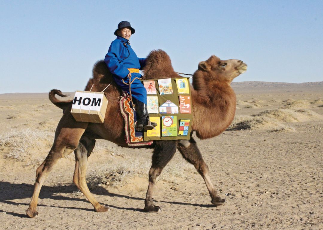 世界各地的神奇图书馆在哪里在森林里在骆驼背上