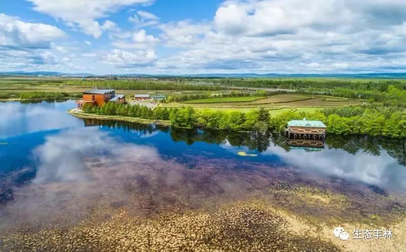关注丨丰林县举办首届醉美丰林畅享冰雪自然风光摄影大展摄影家采风