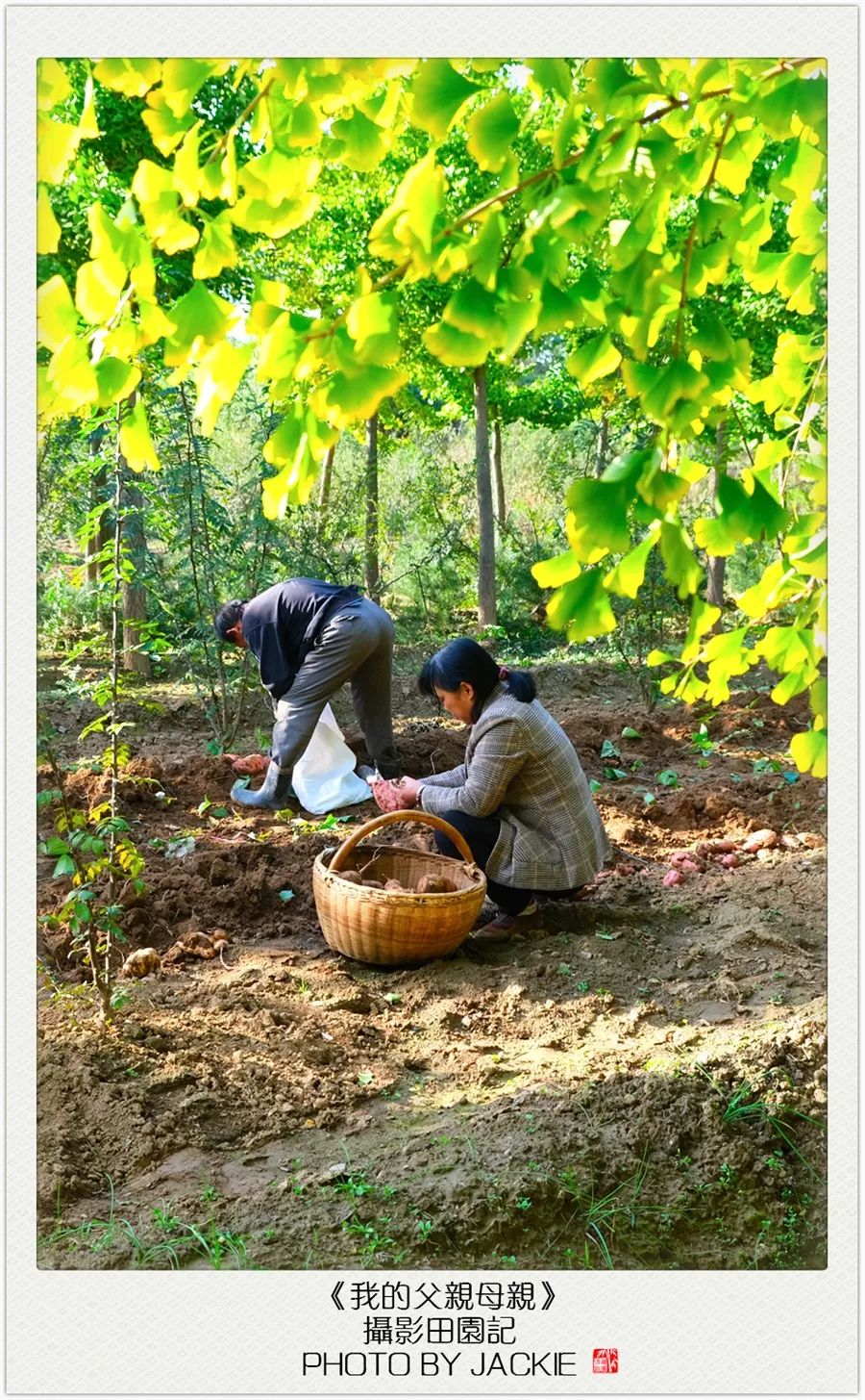 一年前的时候就有意给父母出期摄影专辑,尤其是这两年这样的感觉愈发