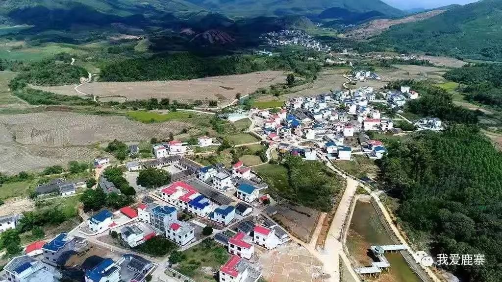 鹿寨这个村获全国乡村治理示范村