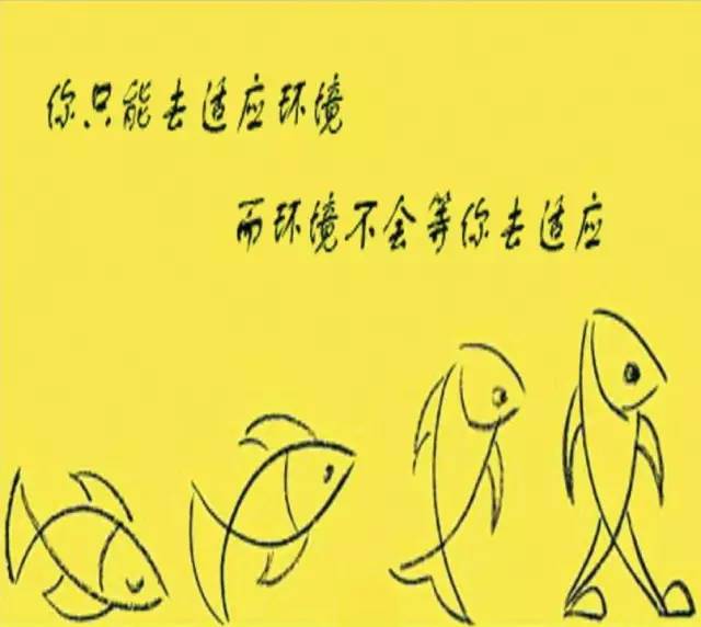 当我们不能改变环境时就必须去适应环境.