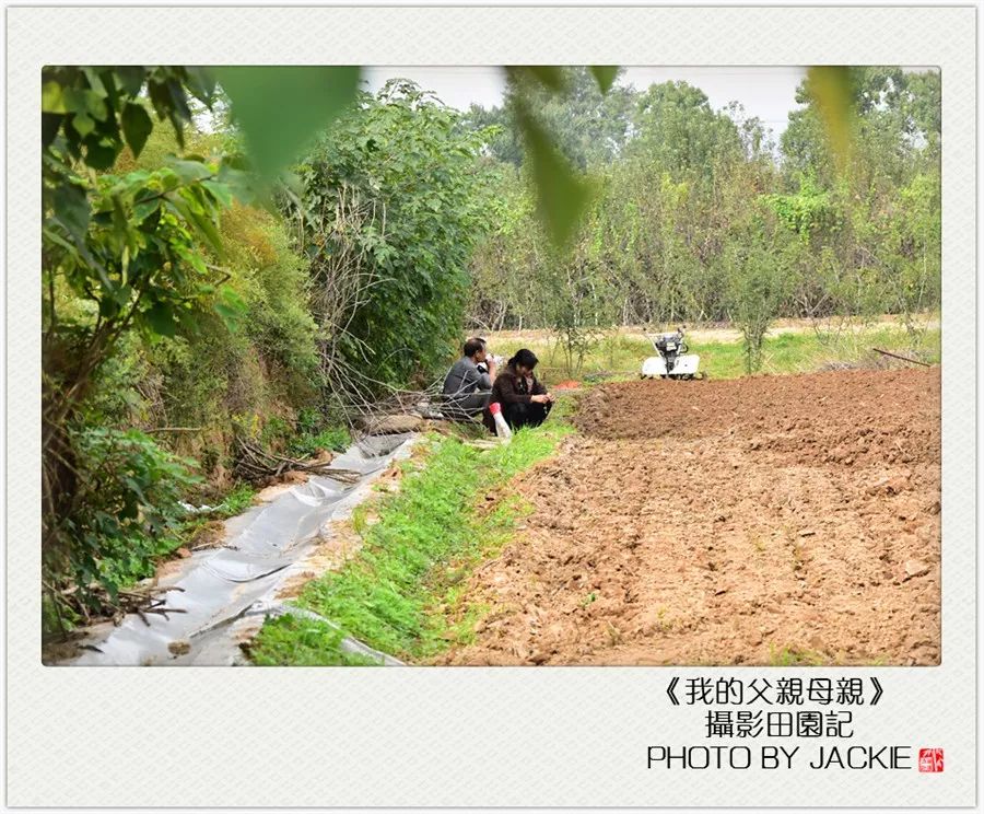 一年前的时候就有意给父母出期摄影专辑,尤其是这两年这样的感觉愈发