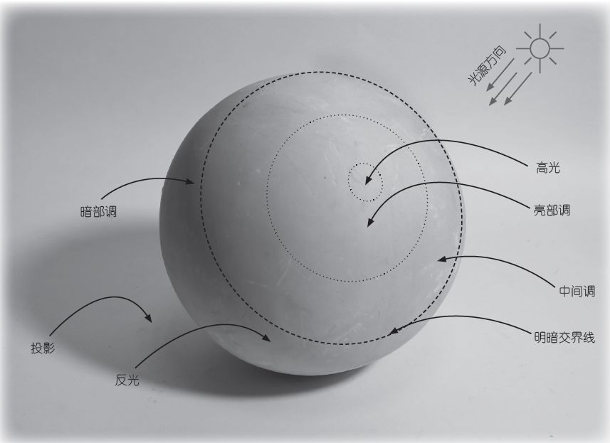从结构观察到光影分析手把手教你画好一个球体