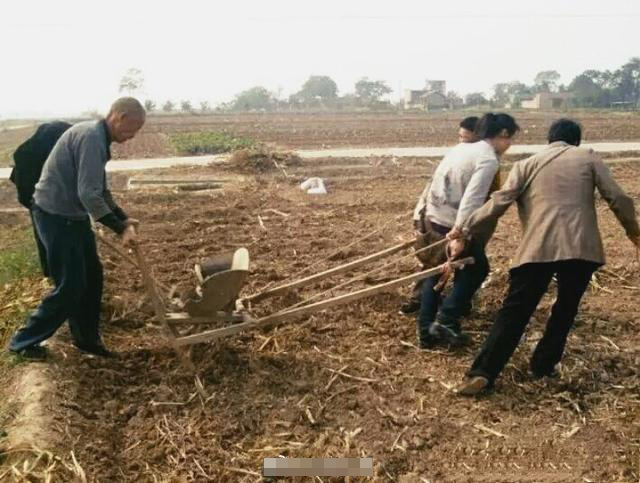 留住乡愁：你知道传统农具木耧吗？-搜狐大视野-搜狐新闻