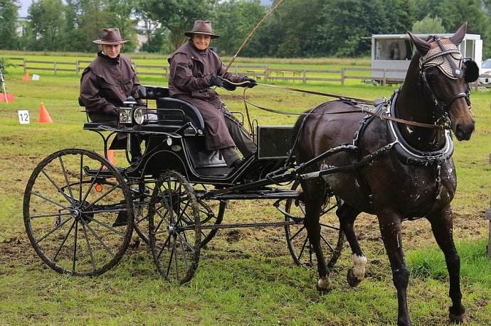 原创英国产的豪华四轮马车既舒适又平稳乾隆为何不喜欢