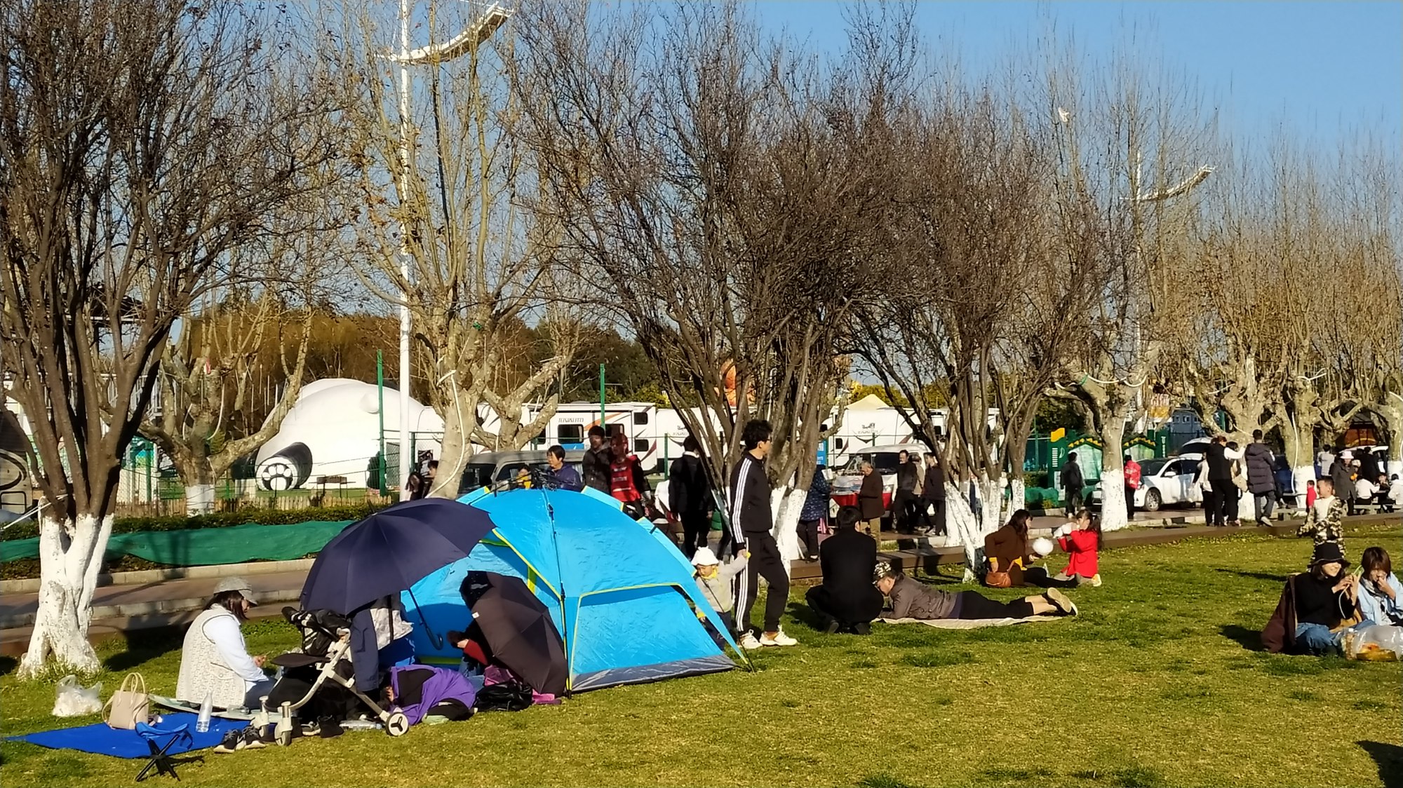 昆明海埂公园草坪,搭帐篷明码标价,这样做是否合理合规?