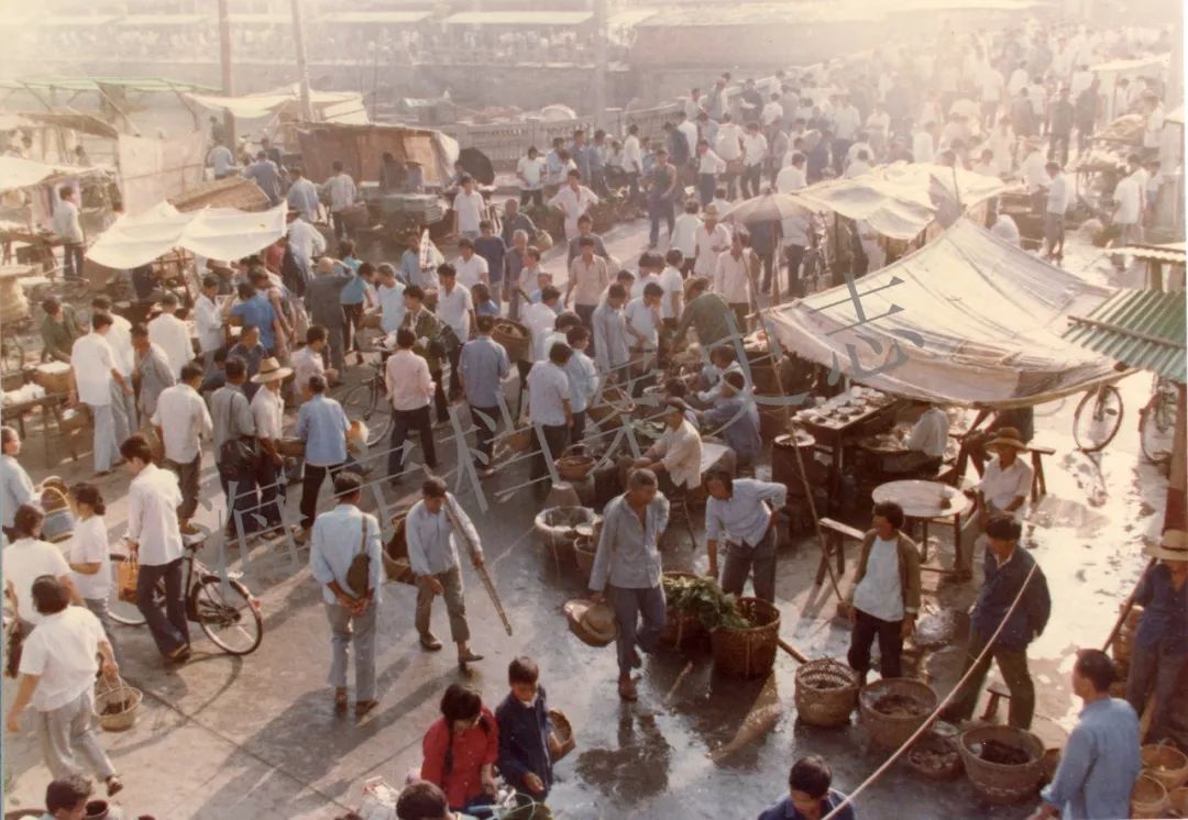的硖石街景老海宁她印证着潮乡儿女的奋斗前行她记录着历史车轮的碾痕