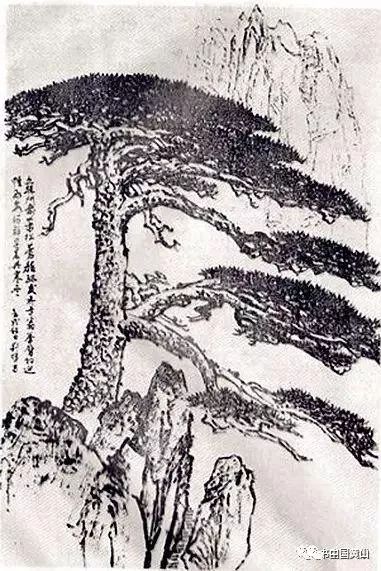 黄山区籍中国松王刘晖大师和他的黄山松