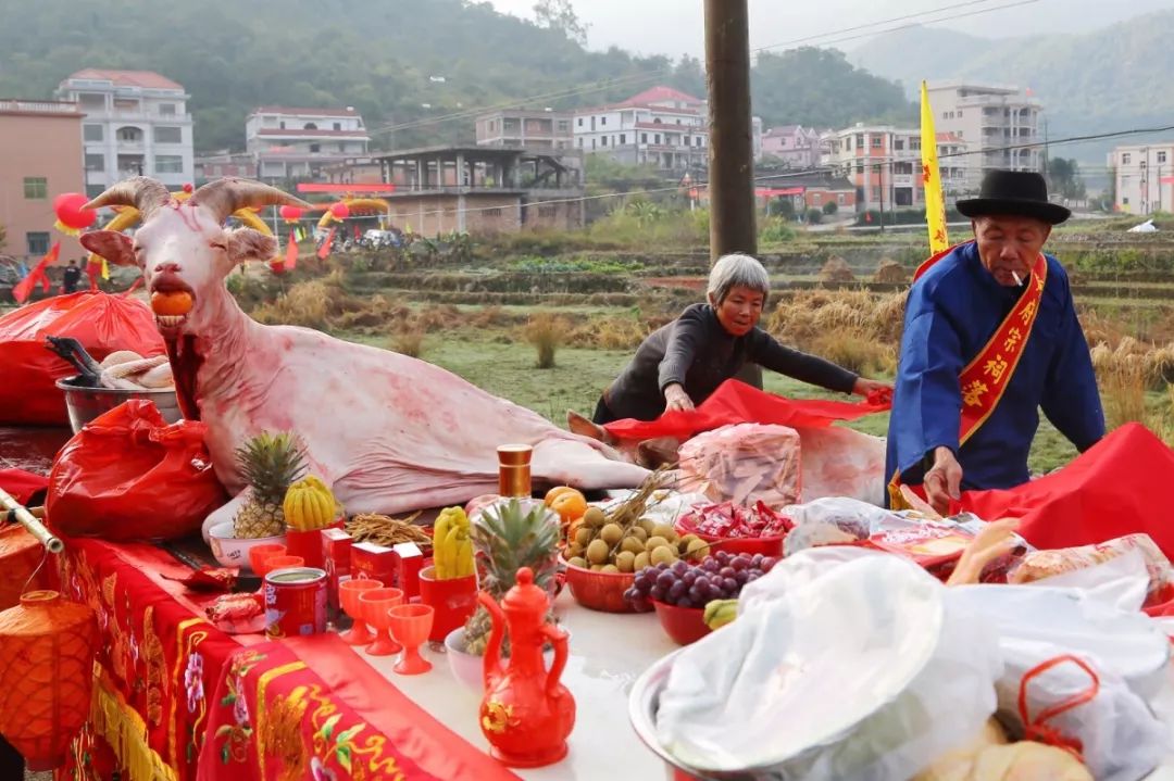 【头条】秋芦草池黄氏祖祠落成庆典隆重举行