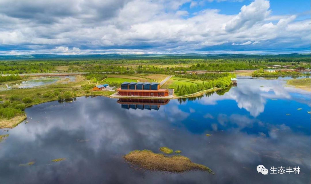 关注丨丰林县举办首届醉美丰林畅享冰雪自然风光摄影大展摄影家采风