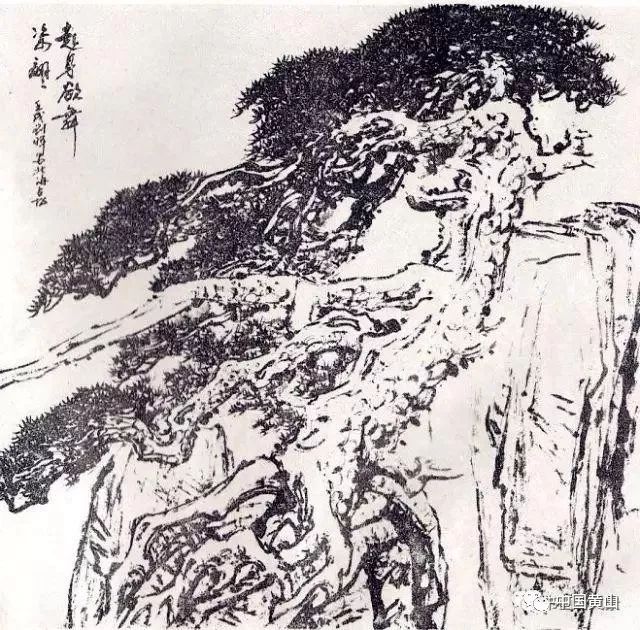 黄山区籍中国松王刘晖大师和他的黄山松