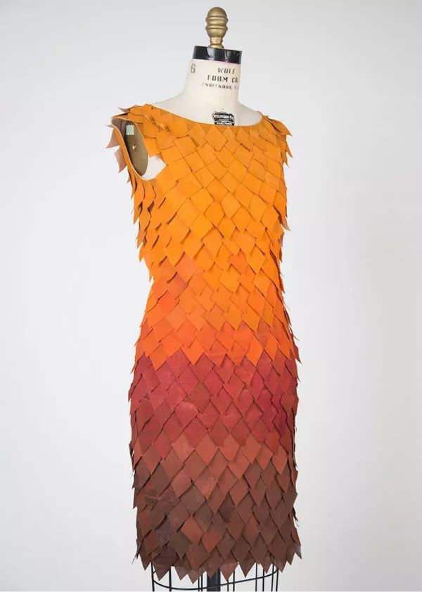 设计|感受来自自然的仿生设计