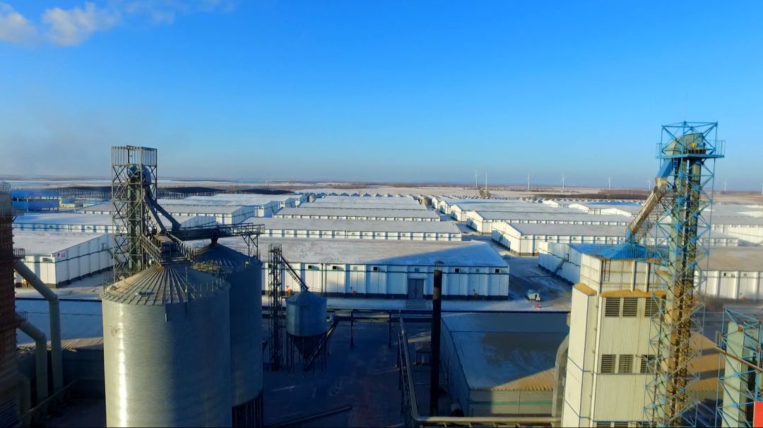 新华访谈象屿农产郭晓旭履行国企使命担当切实做到便民利民