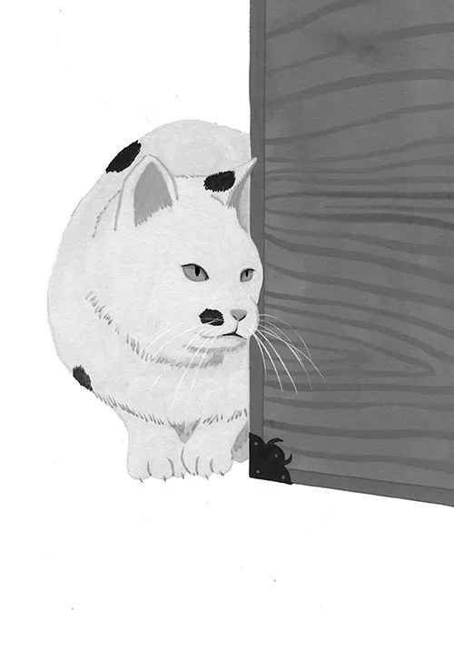 drawn with indian inkthe mother and the wolfback alley doctor