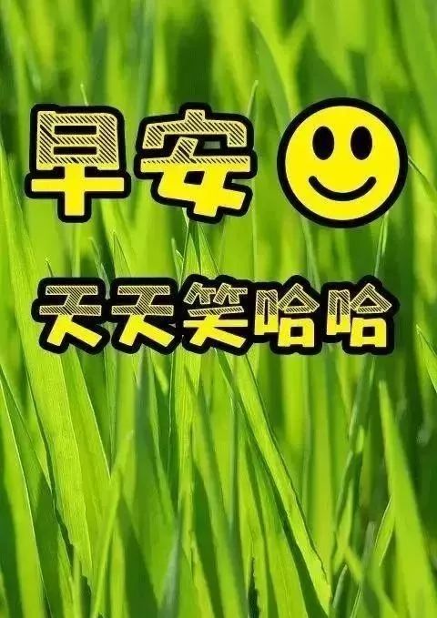 週末問候大家早上好祝福語錄圖片特漂亮早上好圖片表情動態帶字