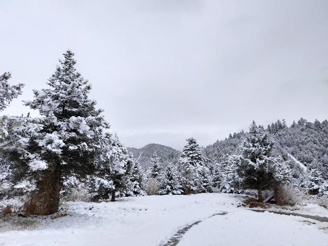 雲南省1月5日至6日風景區天氣預報