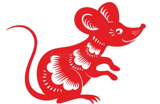 鼠年说鼠趣_老鼠