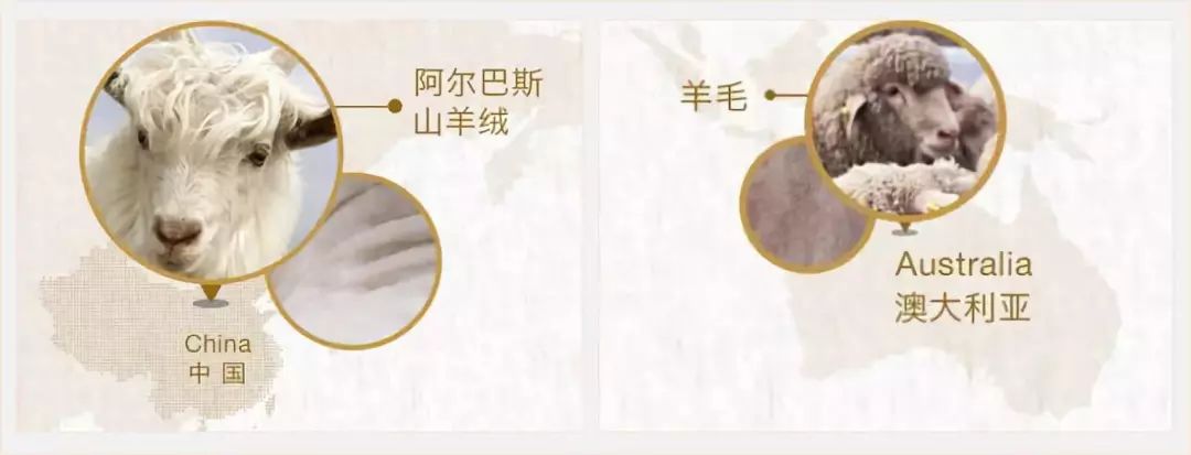 羊绒羊毛一字之差天壤之别