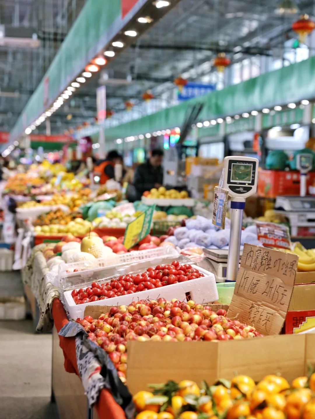 网传朝阳最大菜市场,一眼看不到头