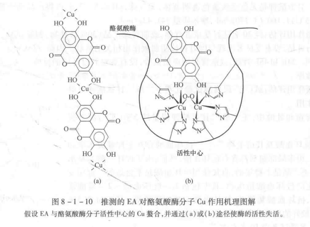 有一类美白成分的原理就是螯合铜离子,从酪氨酸酶手里把铜离子抢过来