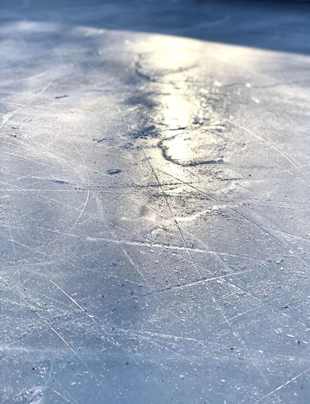 溜冰场冰面图片