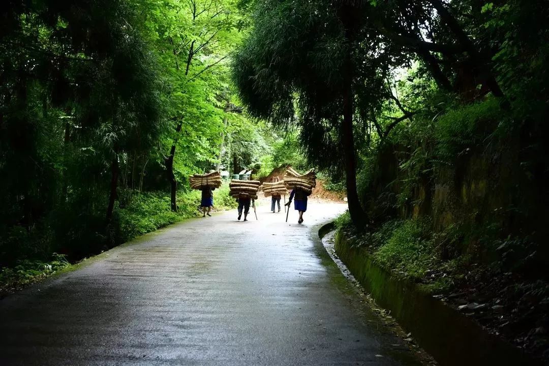 大國交通及尋路鄉村中國紀錄片聯合攝製組聚焦蒙頂山茶馬古道