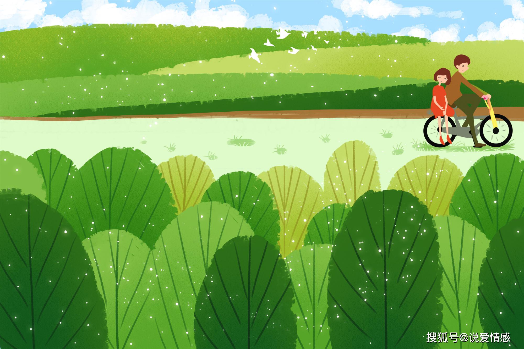 原创夫妻相处,想要破解七年之痒,就要明白"光环效应"的真实原理