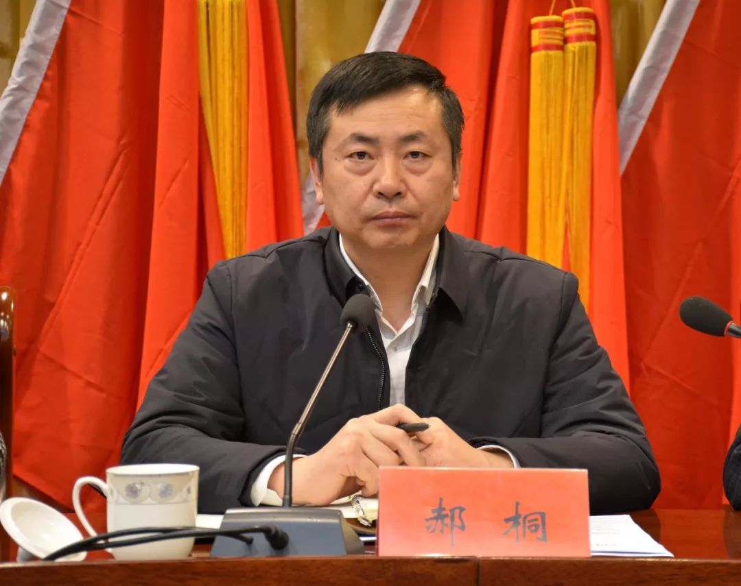 区委常委,常务副区长郝桐宣读《"一治两送增三感"活动》方案.