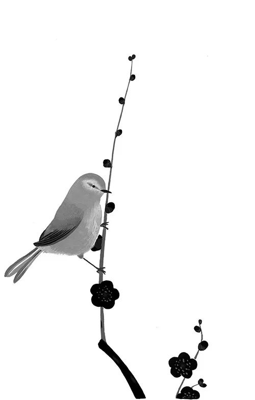 drawn with indian inkthe mother and the wolfback alley doctor