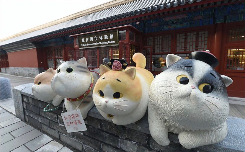 萌到犯规的故宫猫,如何从“网红”成为“IP” ?_传播
