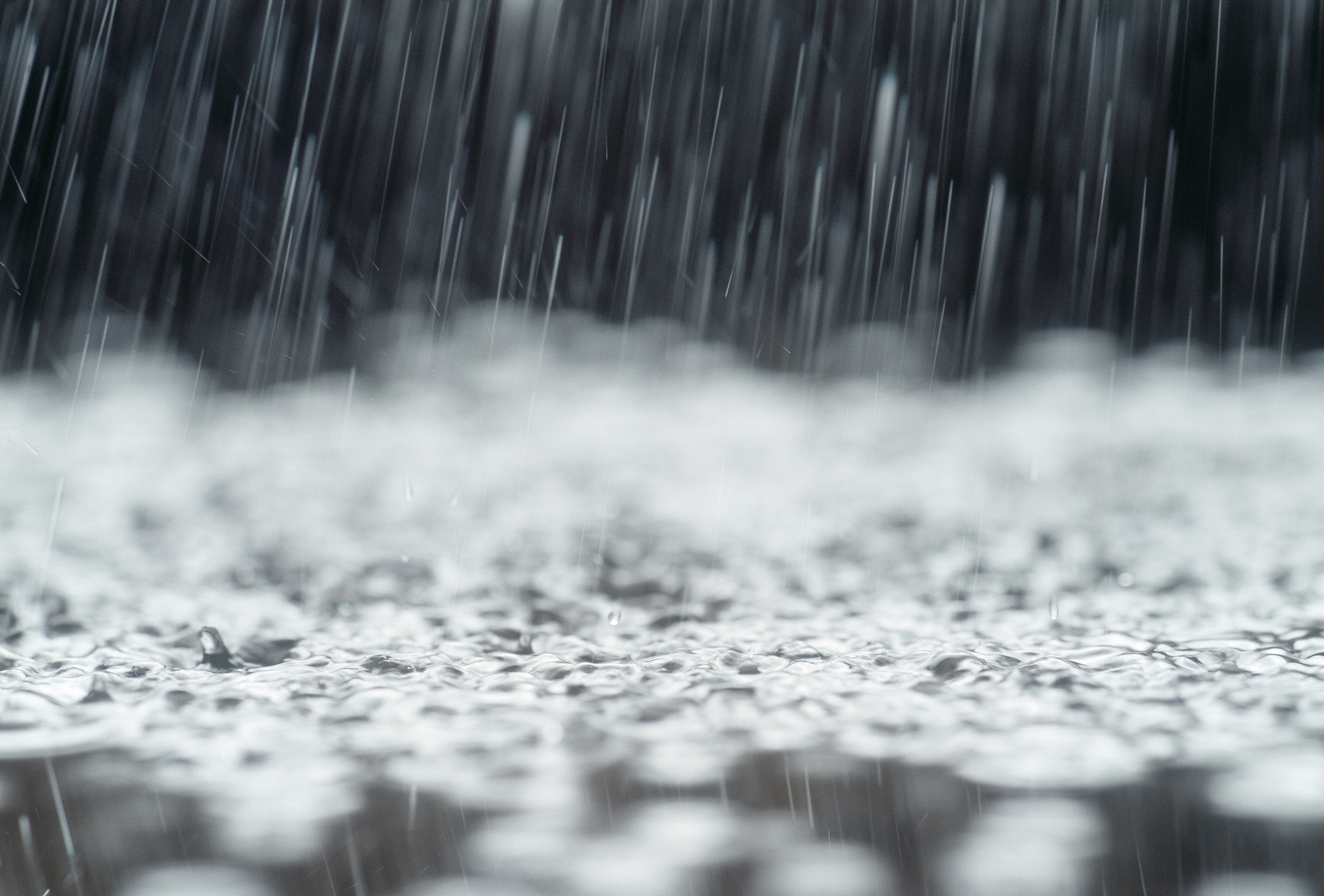 冬天雨景图片大全图片