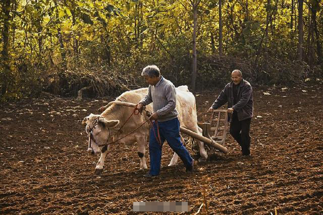 留住乡愁:你知道传统农具木耧吗?-搜狐大视野-搜狐新闻