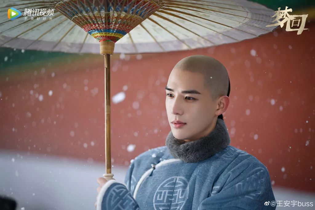 3,问下梦回的十三阿哥王安宇,这部剧就看他了?