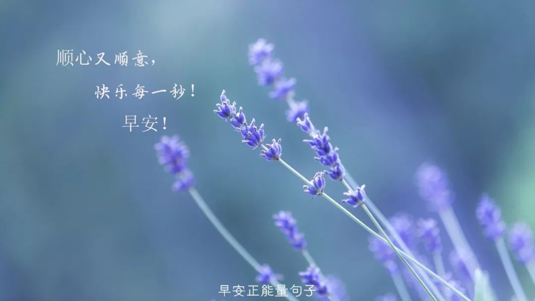 简单早安心语图片带字早安图片带字励志语录