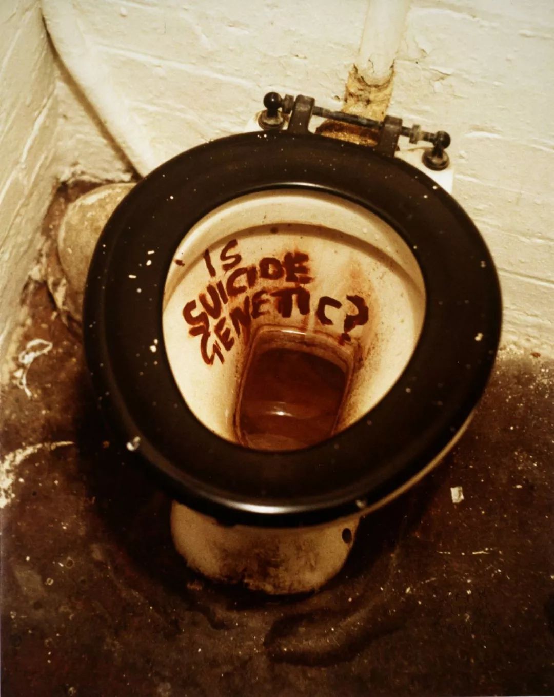 当马桶变为艺术它香吗