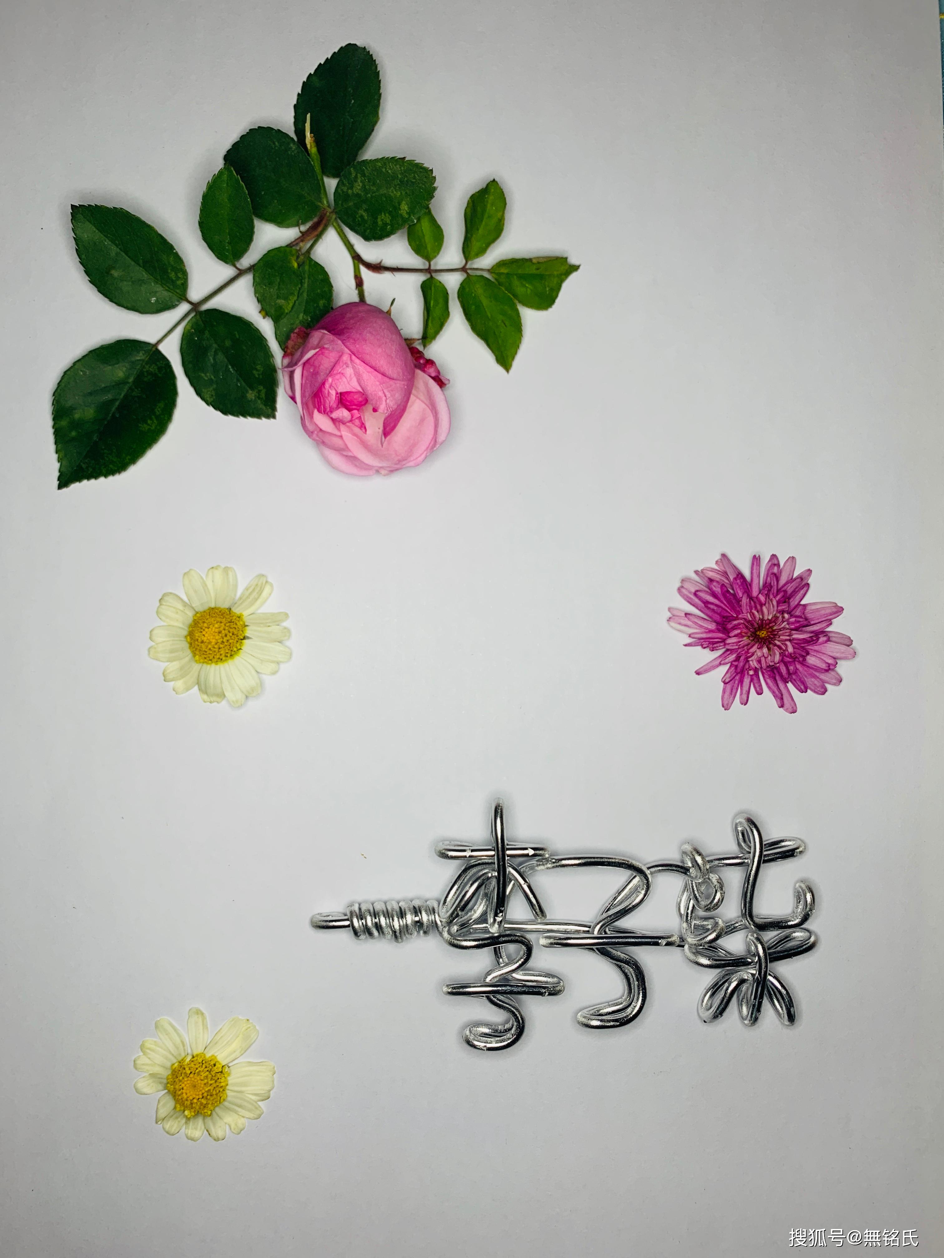 手工编字,李子柒 返回搜