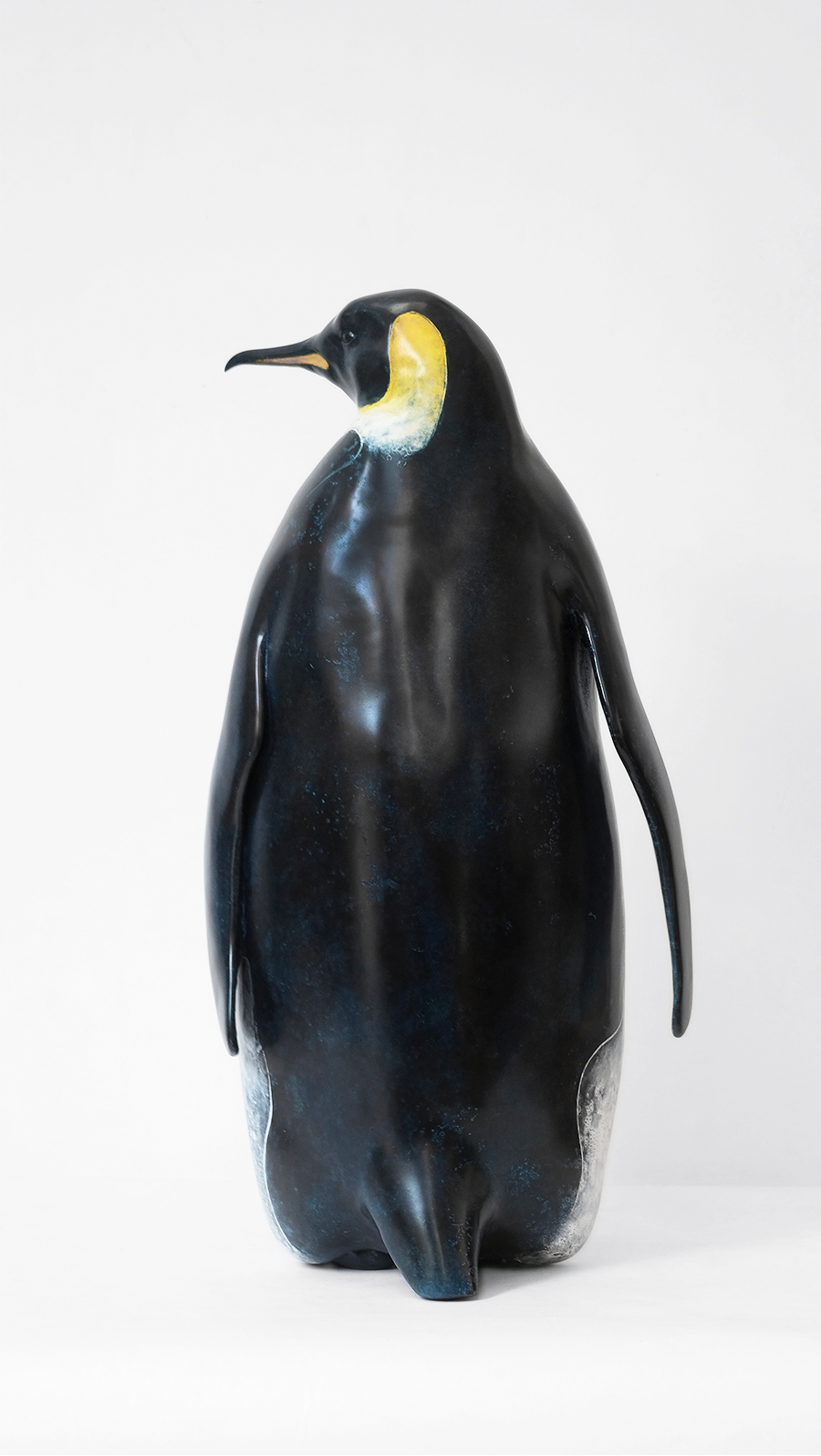 帝企鹅背部的蓝色模拟极光的深邃,体现南极生物空灵的气质.