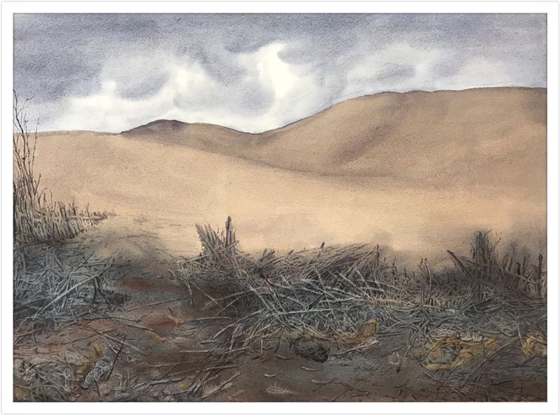 李虹荒原系列作品欣赏 【编者的话】一段情,一段路,反复的掂量,最后