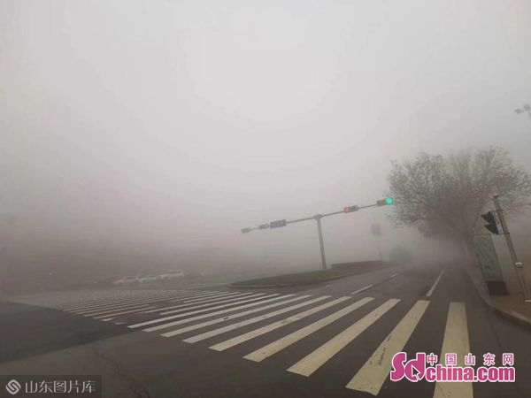 济南大雾黄色预警升级为橙色预警 夜间将有雨夹雪_阴有小雨