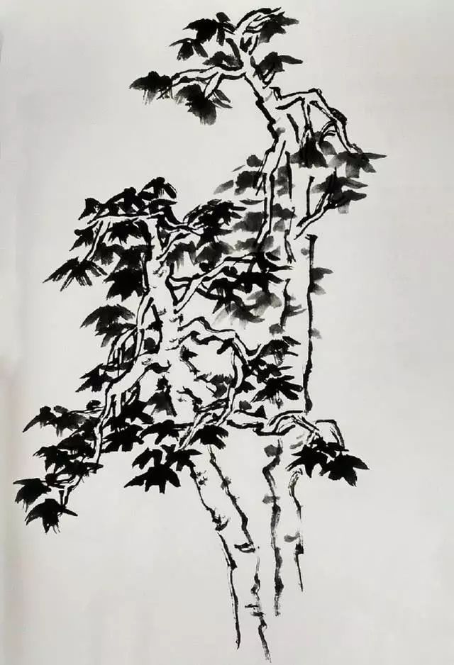 杂树的画法以及举例