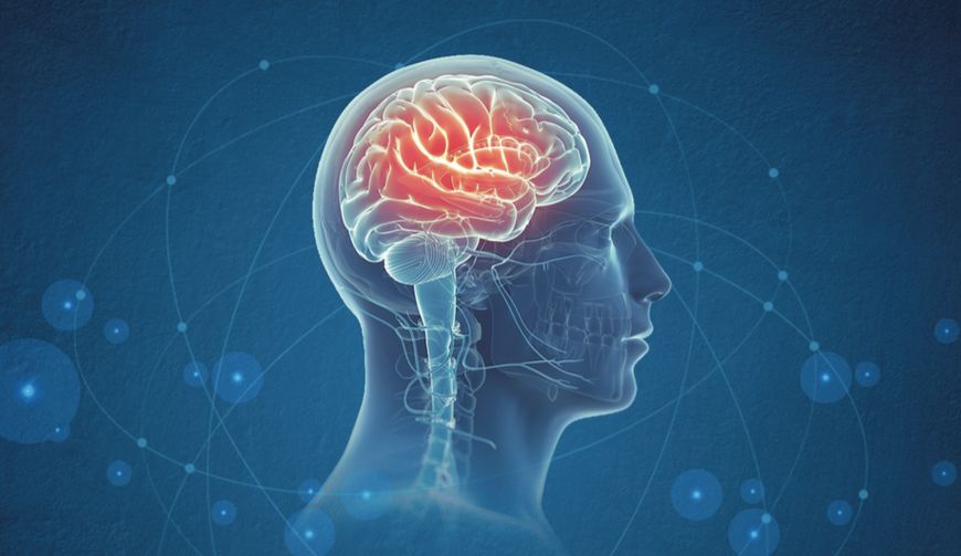 脑科学专家:如何更好地发挥大脑的记忆功能,提高学习效率?