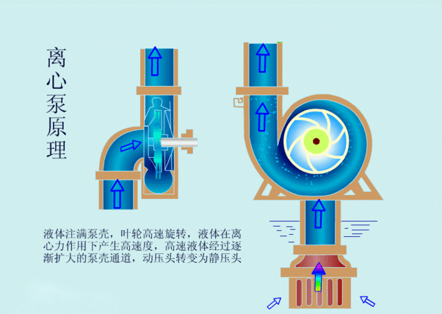 「动图」动画演示泵的工作原理液体 
