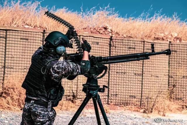 以色列媒体爆料,大量库尔德人是该国特工,伊朗被算计倒大霉_武装