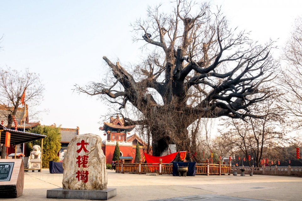 山西老鸹窝图片